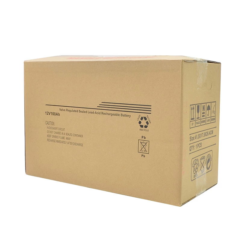 Custom 12V100ah Lead Acid Battery Manufacturer