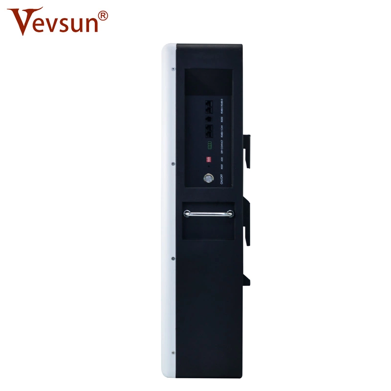Lithium Battery LifePO4 rechargeable Solar Battery China Supplier