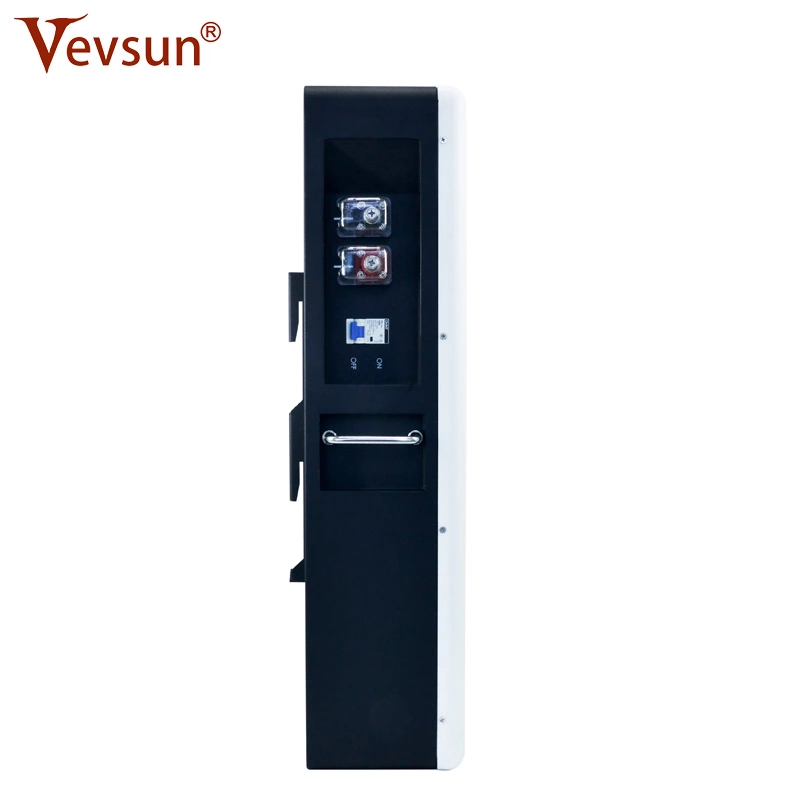 Lithium Battery LifePO4 rechargeable Solar Battery China Supplier