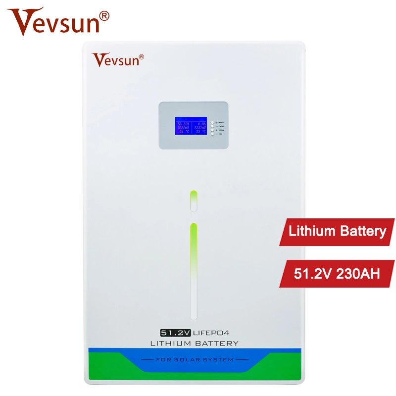 Lifepo4 Battery 51.2V 48V 100AH 230AH 300AH Lithium Battery Factory Wholesale